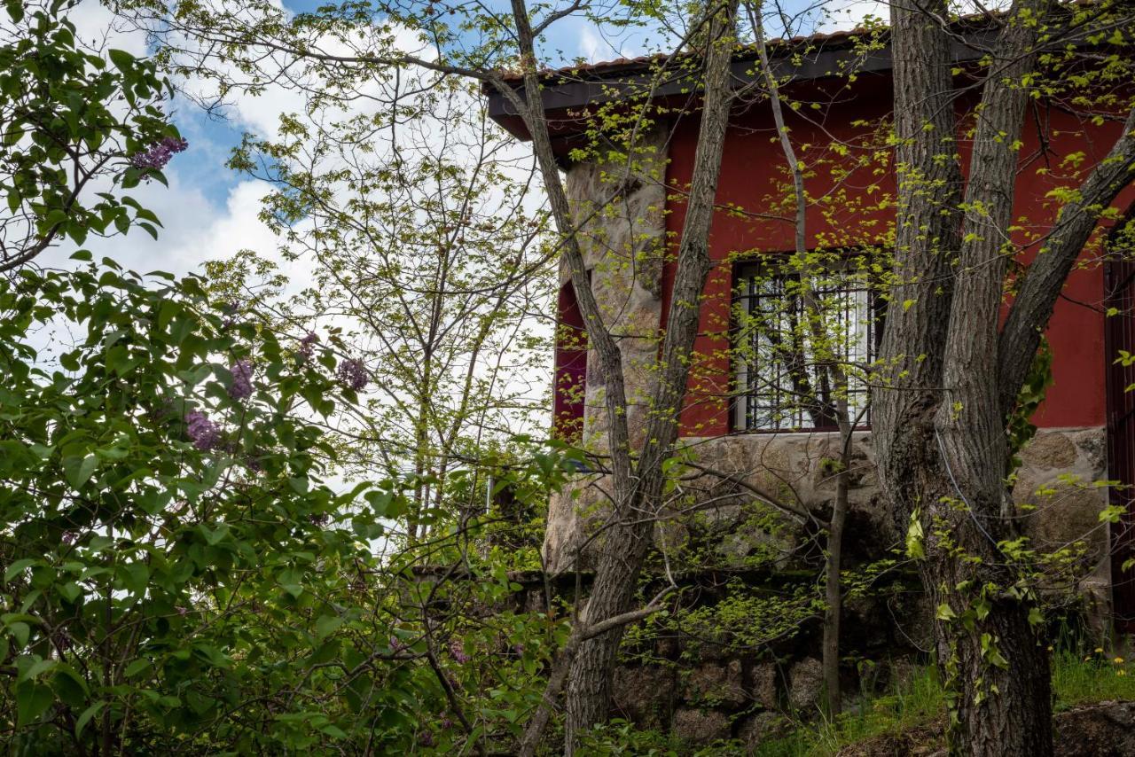 Casita En La Sierra Zarzalejo Exterior foto