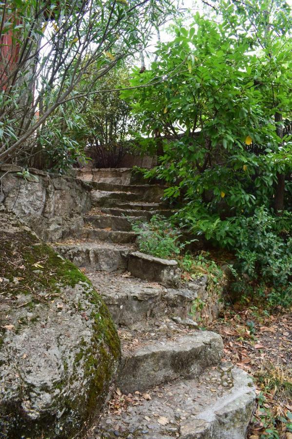 Casita En La Sierra Zarzalejo Exterior foto